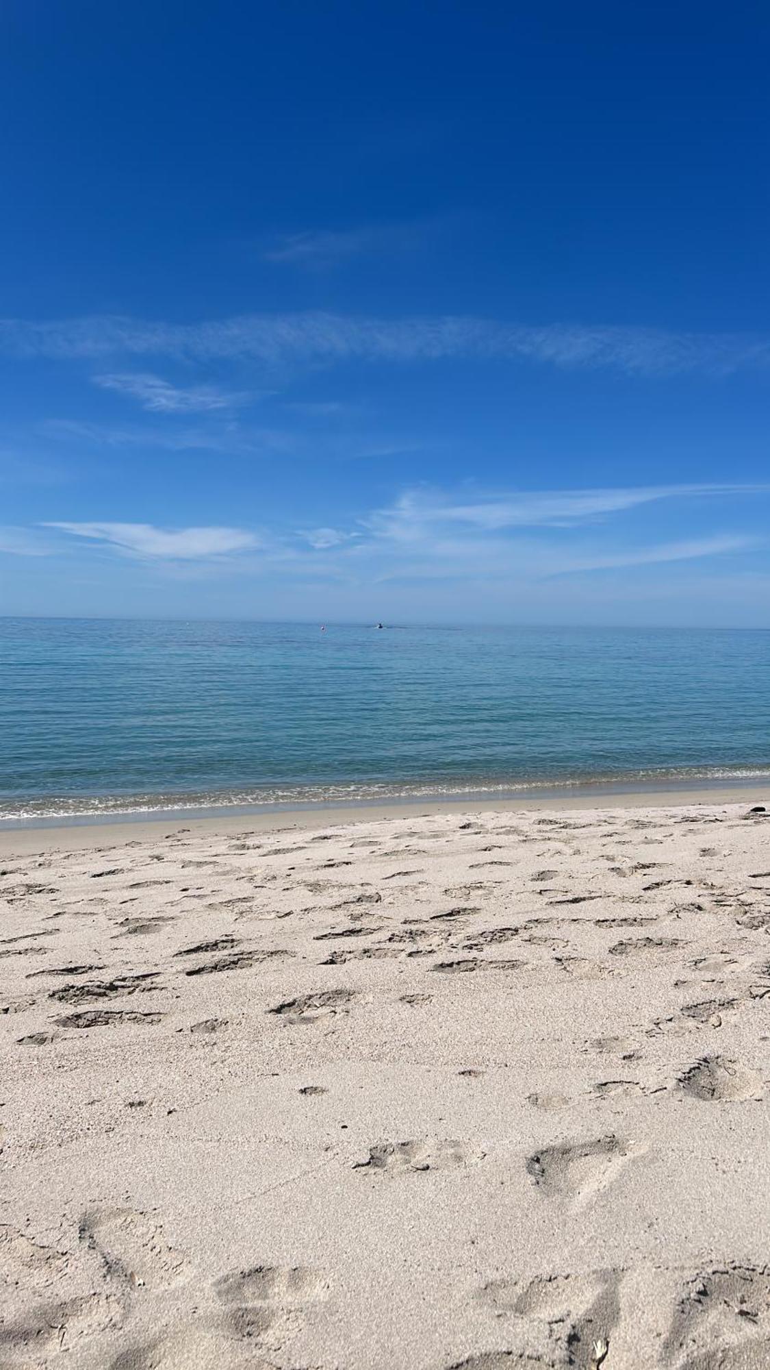 Duplex F4 Sanguinaires A 5 Mn De La Plage Ajaccio  Bagian luar foto